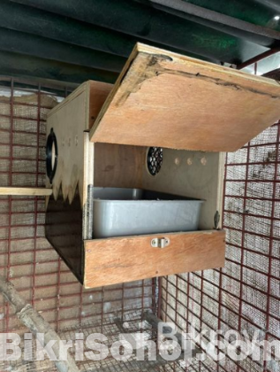 cockatiel breeding box